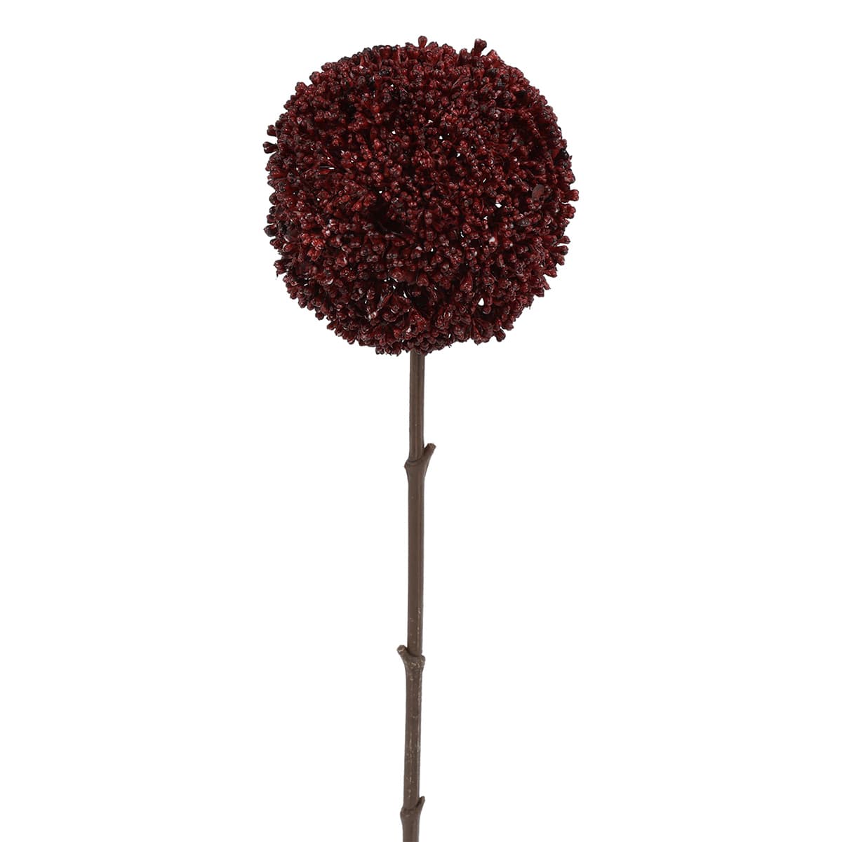 Bloem Allium rood - 1