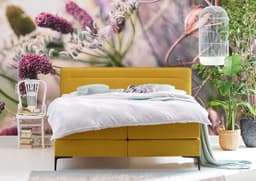 Boxspring Cinderella Elektrisch - 1