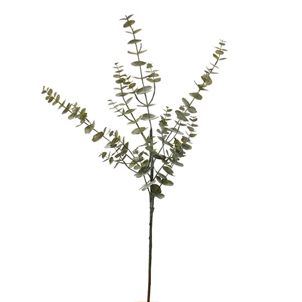 Eucalyptus kunsttak - 1